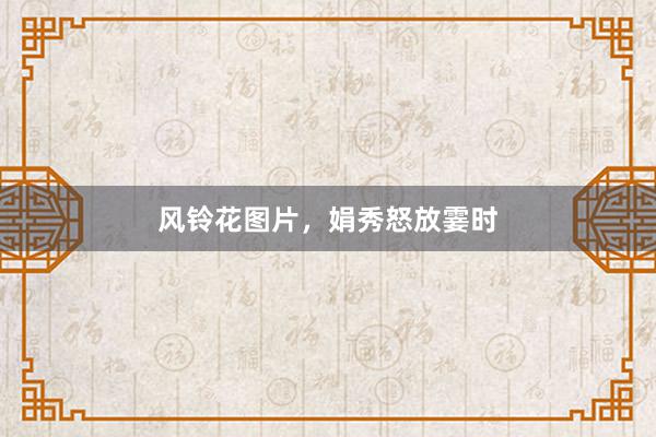 风铃花图片，娟秀怒放霎时