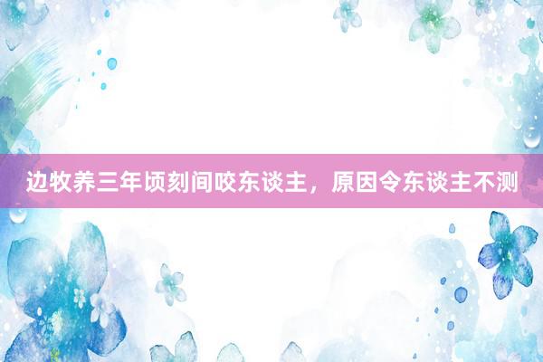 边牧养三年顷刻间咬东谈主，原因令东谈主不测