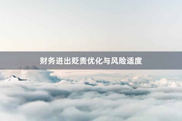 财务进出贬责优化与风险适度